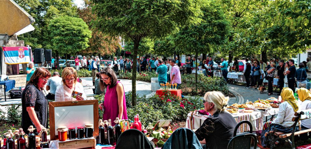 Ibarski susreti – Nemanjić Days – Baljevac